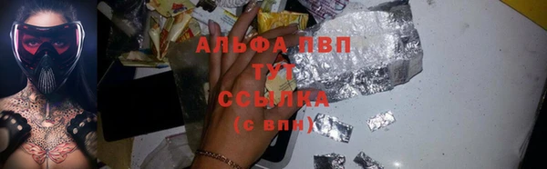 прущий лед Вяземский