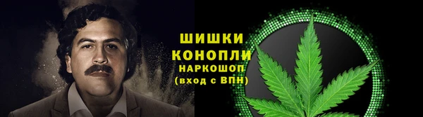 тгк Горняк