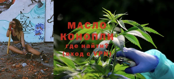 прущий лед Вяземский