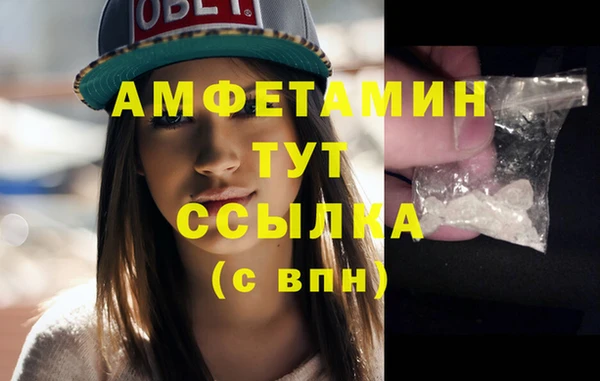 прущий лед Вяземский