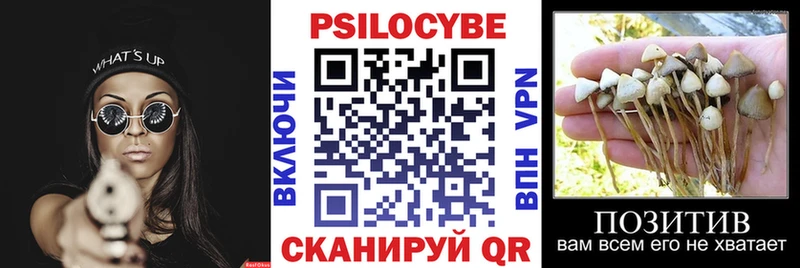 Купить  Кстово  Галлюциногенные грибы ЛСД 